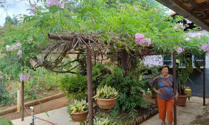 Atividades rurais em fazenda da Zona da Mata mineira geram renda e resgatam memória afetiva