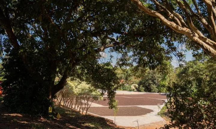 BDMG libera R$ 700 milhões para financiar projetos sustentáveis em Minas Gerais