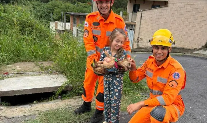 Bombeiros de Barbacena resgatam cadela que caiu em bueiro no bairro Santa Tereza