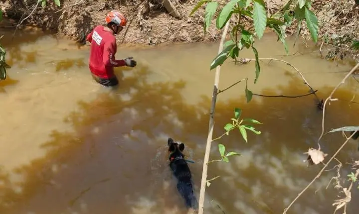 Bombeiros mobilizam 56 militares e cães em busca de desaparecido em Ubá