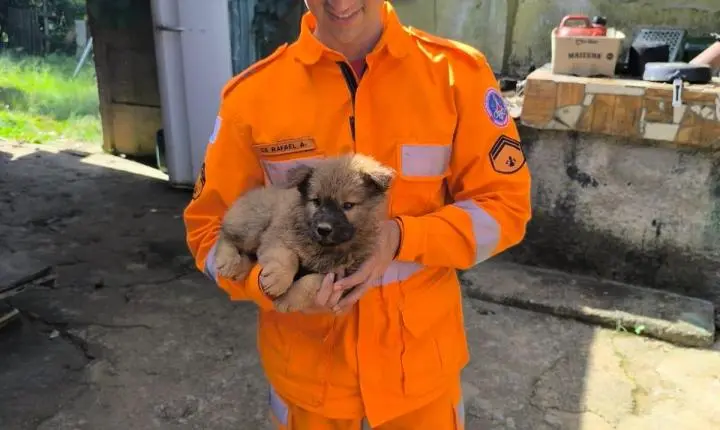 Bombeiros resgatam filhote em cisterna de 10 metros em Conselheiro Lafaiete