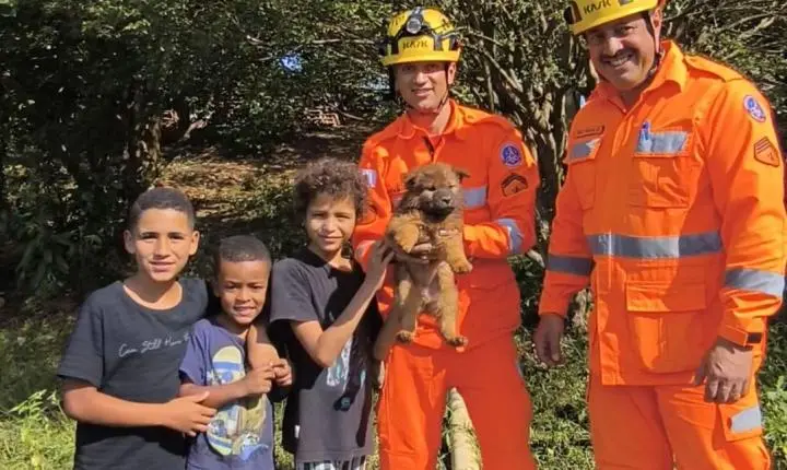 Bombeiros resgatam filhote em cisterna de 10 metros em Conselheiro Lafaiete