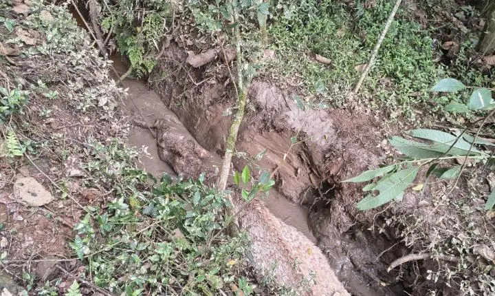 Bombeiros salvam égua atolada em vala com lama e evitam afogamento em Carandaí
