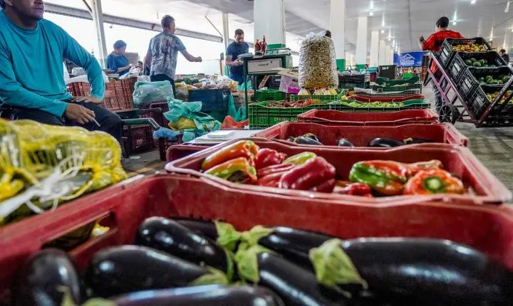 Nova campanha busca engajamento nacional contra o desperdício de alimentos