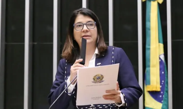 Comissão de Relações Exteriores debate assistência consular a brasileiros no exterior