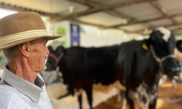 Comunidade de Pires abre calendário de julho com o 33º Torneio Leiteiro e Mostra de Bezerras