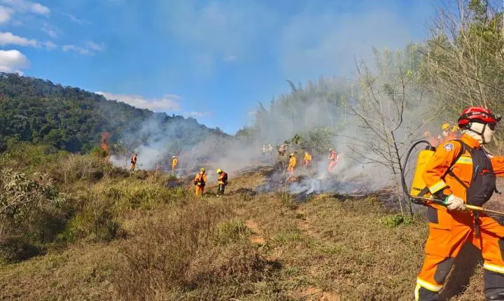 Corpo de Bombeiros e IEF realizam queima prescrita no Parque Estadual Mata do Krambeck, em Juiz de Fora