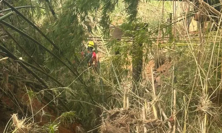 Corpo de Bombeiros intensifica buscas por desaparecido em Ubá