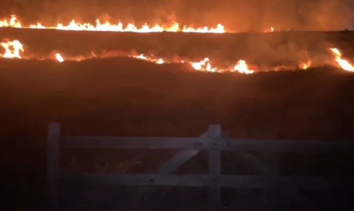 Curto-circuito em rede elétrica provoca incêndio em vegetação em Guarará