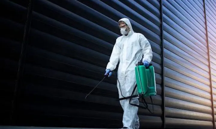 Dedetização preventiva: por que esperar uma infestação pode custar mais caro