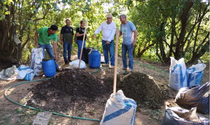 Emater-MG abre calendário de cursos de agroecologia para reduzir custos no campo