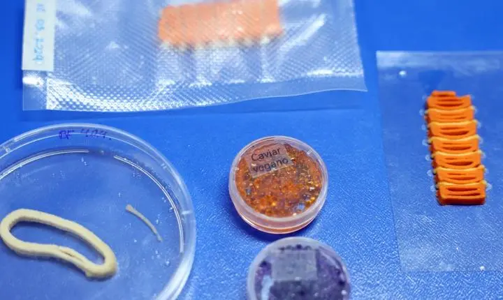 Embrapa cria salmão, caviar e anéis de lula veganos em laboratório