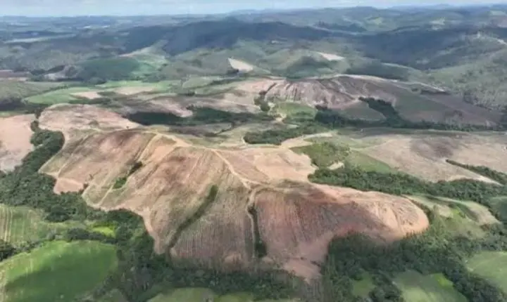 Confira os principais destaques de Minas Gerais no mercado e cultura