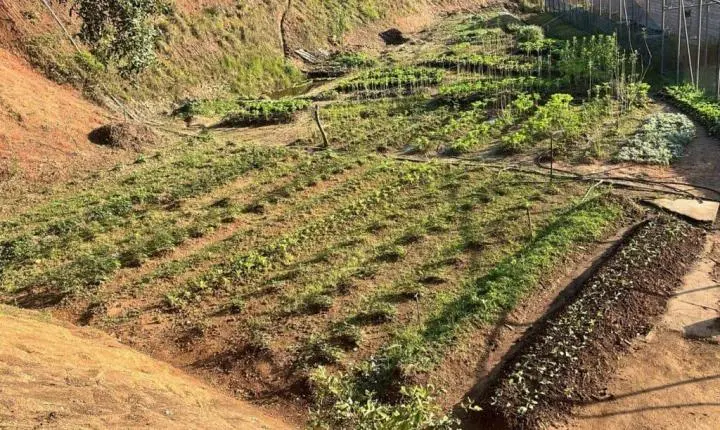 Encontro com produtores debate preservação da água e horticultura em Juiz de Fora