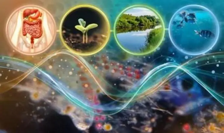Estudo genômico de microbiomas comprova teoria ecológica clássica sobre competição por recursos