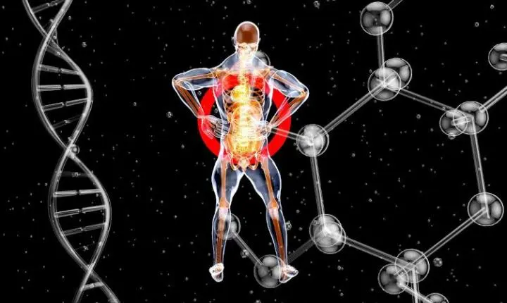 Estudo identifica rede de autoanticorpos em doenças neurodegenerativas