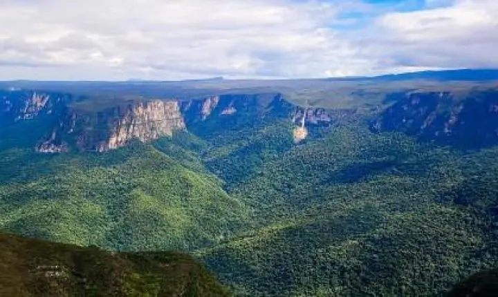 Expedição inédita vai mapear a biodiversidade do topo da Serra do Aracá, no norte do Amazonas