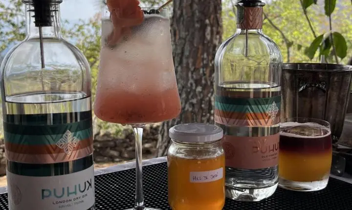 Família de Nova Lima cria o primeiro gin do Brasil com mel de abelhas nativas