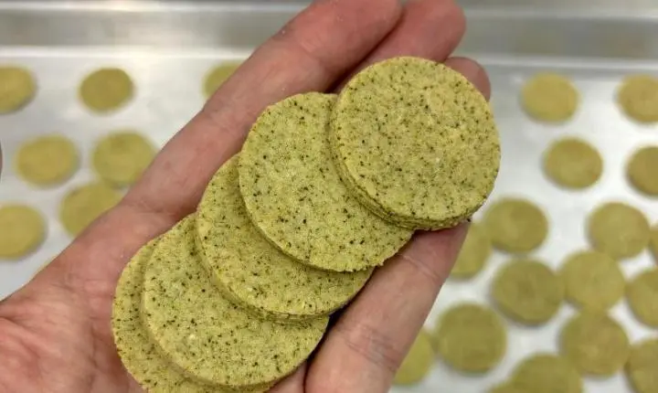 Farinha de alga marrom eleva valor nutritivo e digestibilidade de biscoitos sem glúten