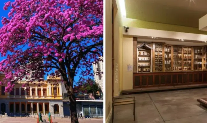 Feira da Estação celebra o Dia das Mães com edição especial no SESI Museu de Artes e Ofícios