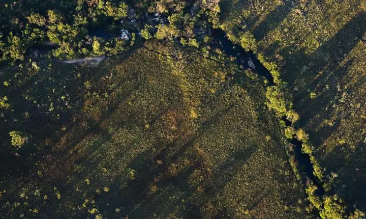 Produtores rurais terão acesso a juros baixos em financiamentos para projetos de sustentabilidade