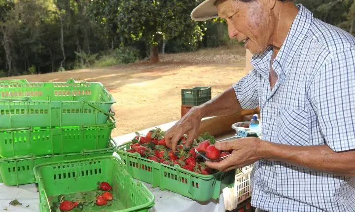 Finep destina R$ 220 milhões para inovação na agricultura familiar