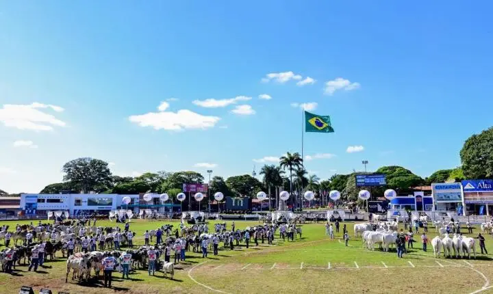 Governo lança campanha Minas Festas de Peão para valorizar raízes sertanejas