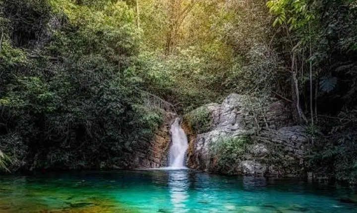 Guia da Chapada dos Veadeiros: tudo o que você precisa saber antes de viajar