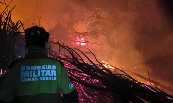Incêndio em vegetação mobiliza bombeiros no bairro Santa Luzia, em Juiz de Fora