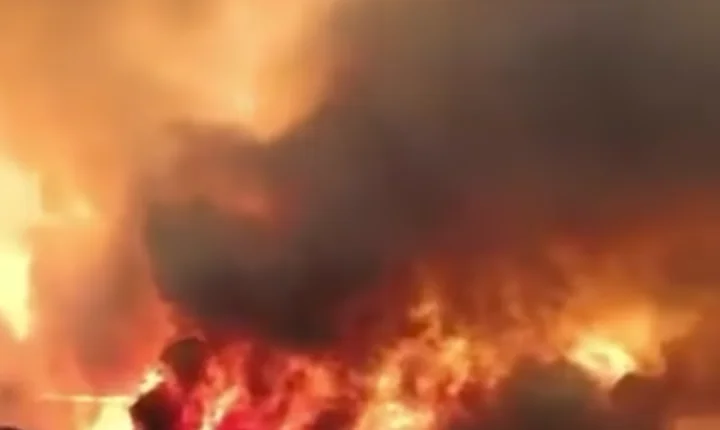 Incêndio florestal deixa doze mortos e dezenas de desaparecidos no sul da Espanha