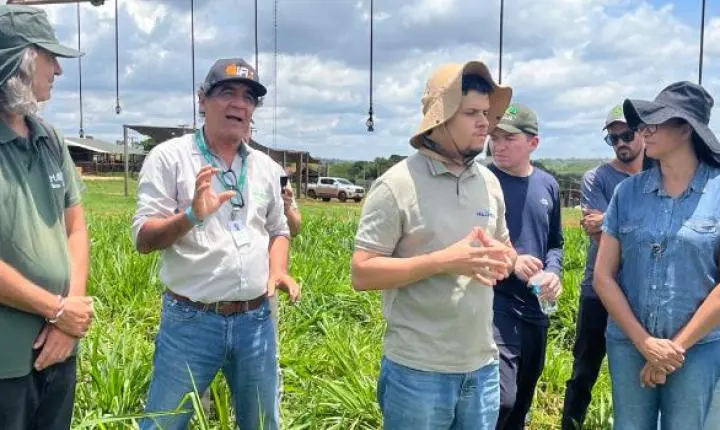 Inscrições abertas para curso gratuito de agricultura regenerativa focado no cultivo de grãos em Minas Gerais