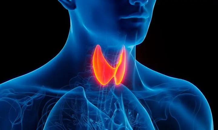 Inteligência artificial prevê risco de complicação após cirurgia de tireoide