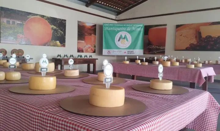 Itanhandu sedia concurso regional com mais de 100 queijos artesanais da Mantiqueira