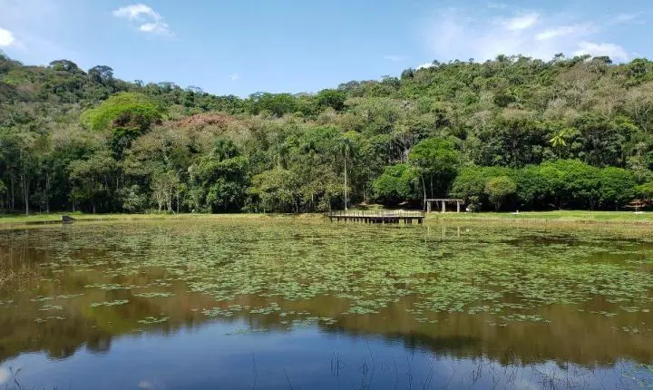 Jardim Botânico da UFJF oferece cursos gratuitos de recuperação ambiental e saneamento rural