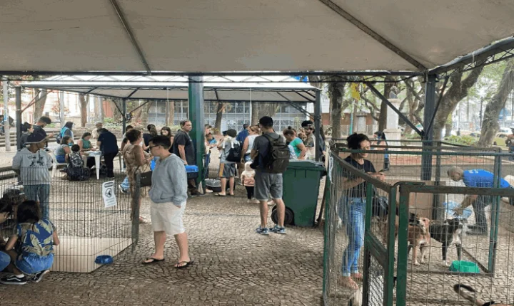 Juiz de Fora realiza 20º evento de adoção responsável no Parque Halfeld neste sábado