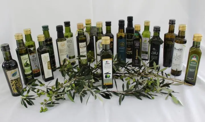 Maria da Fé sedia 7ª Festa do Azeite Novo com programação técnica da Epamig