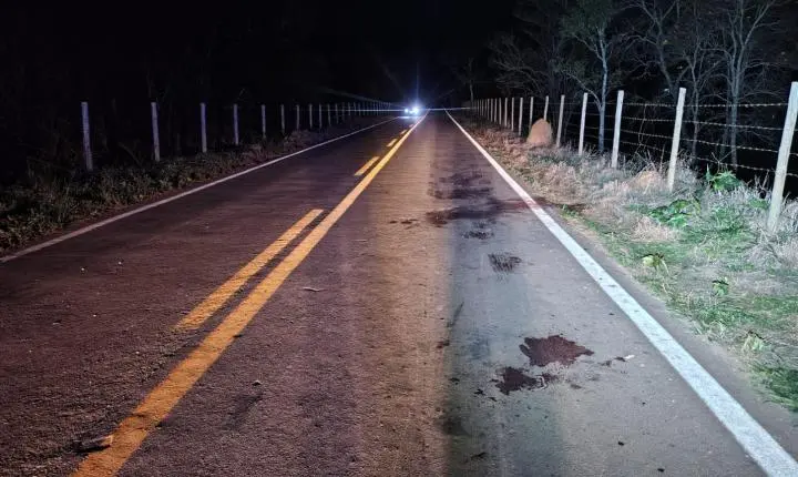 Moto atinge cavalo e deixa três pessoas feridas em rodovia de Descoberto