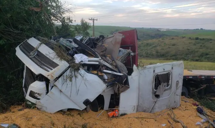 Motorista morre soterrado por carga de milho após carreta capotar na MGC-383