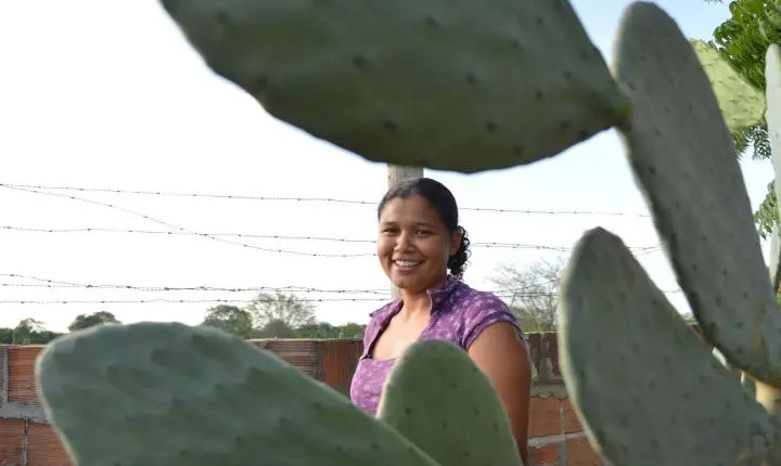 Mulheres no agronegócio: estudo revela que elas lideram a produção em quase 20% das propriedades rurais