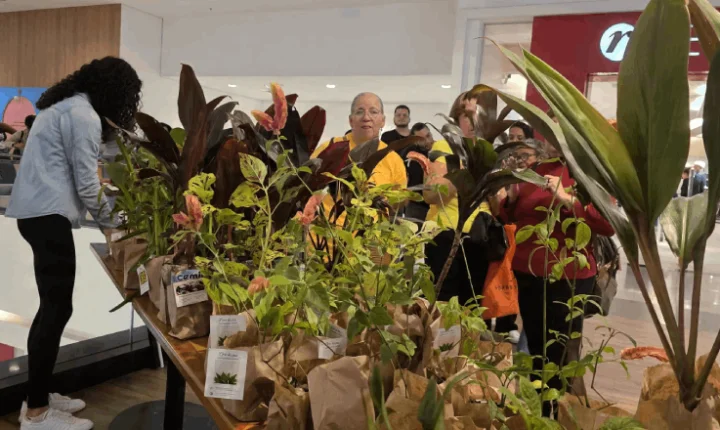 Museu Mariano Procópio e Shopping Jardim Norte distribuem mudas nesta terça