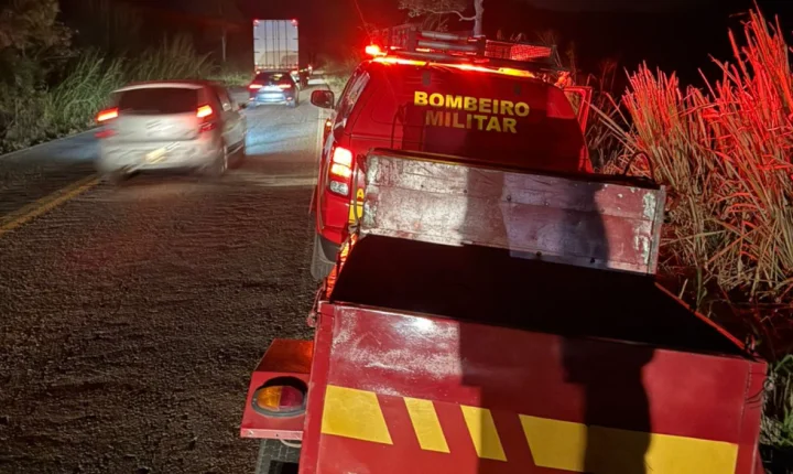 Onça-pintada ferida após atropelamento foge para mata às margens da MG-353