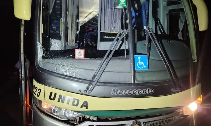 Ônibus atinge ocupantes de carro em pane na MG-133 em Coronel Pacheco
