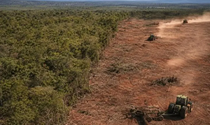 Coluna mg: destaques do jornalismo mineiro reúnem operações e obras