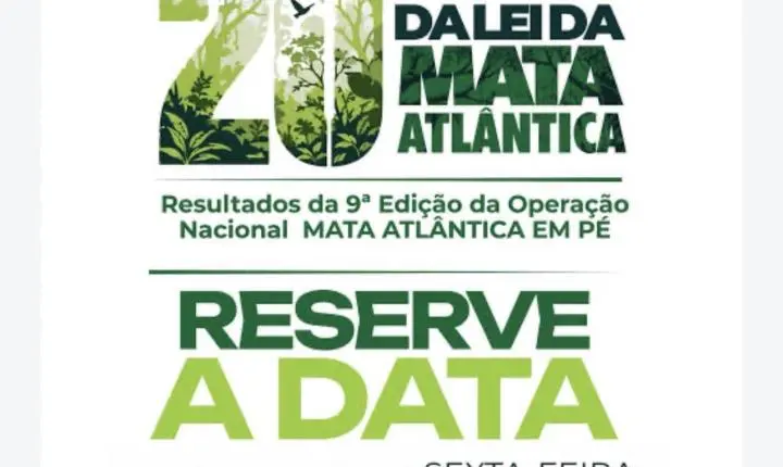 Operação mata atlântica em pé flagra desmatamento ilegal no país