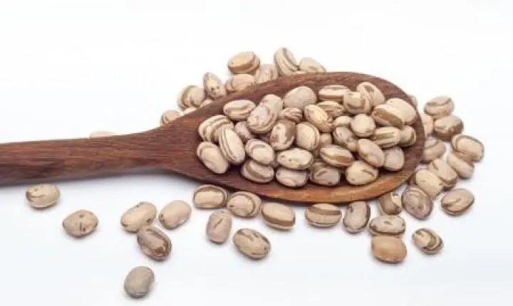 Pesquisadores transformam grãos quebrados de feijão em ingrediente proteico de alto valor