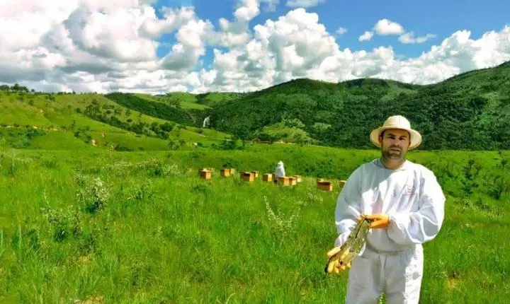 Pesquisas impulsionam produção de própolis-verde na Serra da Canastra em Minas Gerais