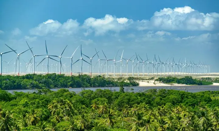 Plataforma simula rotas de menor custo para o Brasil atingir a neutralidade de carbono até 2050