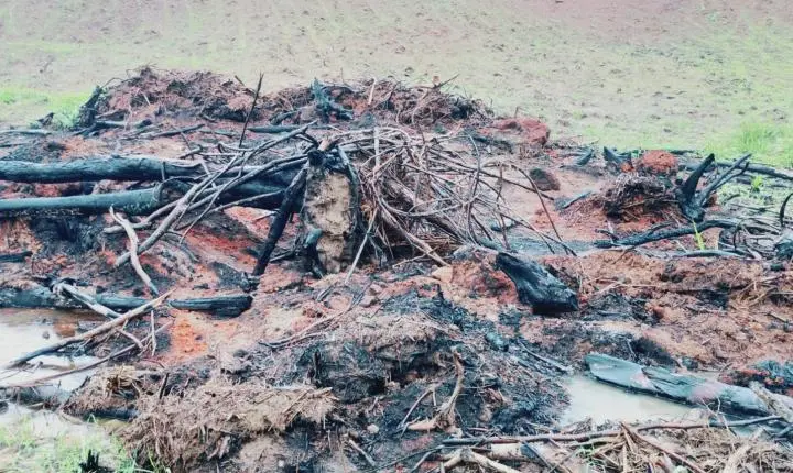 Polícia Militar de Meio Ambiente aplica mais de R$ 536 mil em multas por desmate ilegal em Pirapetinga
