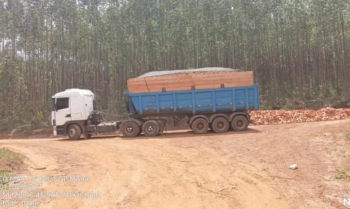 Polícia Militar de Meio Ambiente apreende carga irregular de madeira em Santa Rita do Ibitipoca