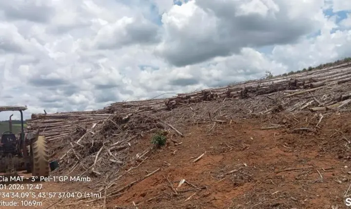 Polícia Militar de Meio Ambiente apreende carga irregular de madeira em Santa Rita do Ibitipoca